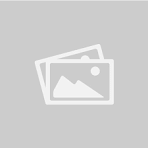 Zebra Printed Dress (Bright Pink)