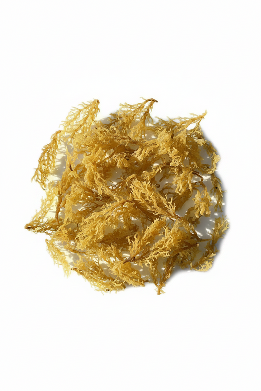 Organic Golden Sea Moss 4 OZ.